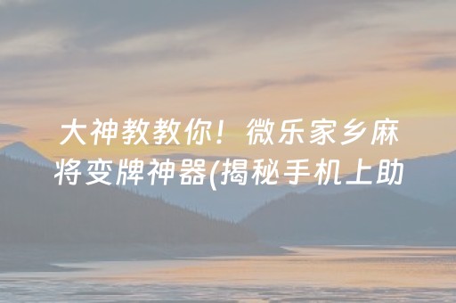 大神教教你！微乐家乡麻将变牌神器(揭秘手机上助赢神器购买)