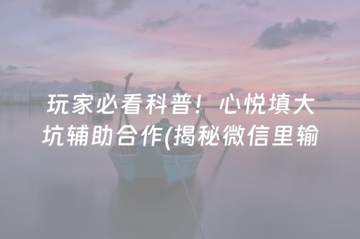 玩家必看科普！心悦填大坑辅助合作(揭秘微信里输赢技巧)