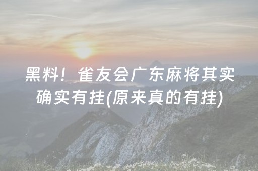 黑料！雀友会广东麻将其实确实有挂(原来真的有挂)