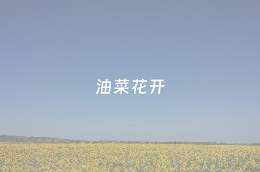 厉害了“微乐北京麻将有什么规律”（必赢神器免费安装)