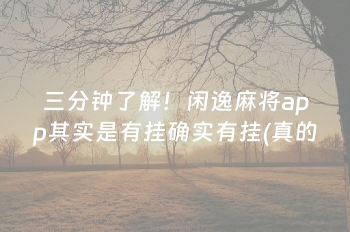 三分钟了解！闲逸麻将app其实是有挂确实有挂(真的有挂)