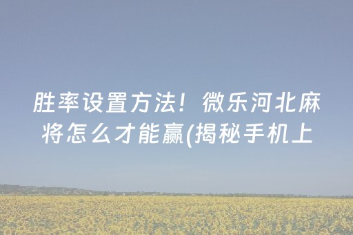 胜率设置方法！微乐河北麻将怎么才能赢(揭秘手机上提高赢的概率)