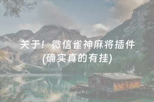 关于！微信雀神麻将插件(确实真的有挂)