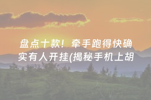 盘点十款！牵手跑得快确实有人开挂(揭秘手机上胡牌技巧)