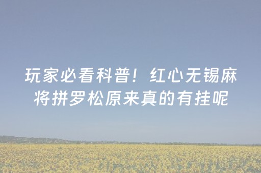 玩家必看科普！红心无锡麻将拼罗松原来真的有挂呢(确实有挂吗)