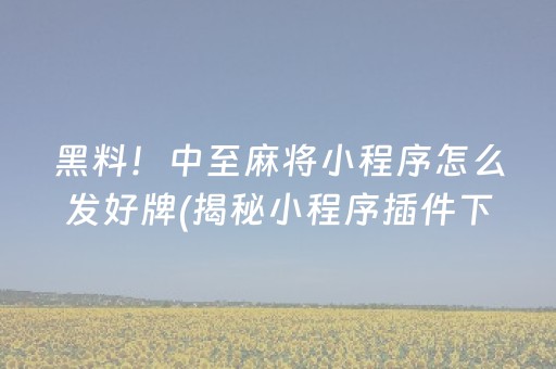 黑料！中至麻将小程序怎么发好牌(揭秘小程序插件下载)