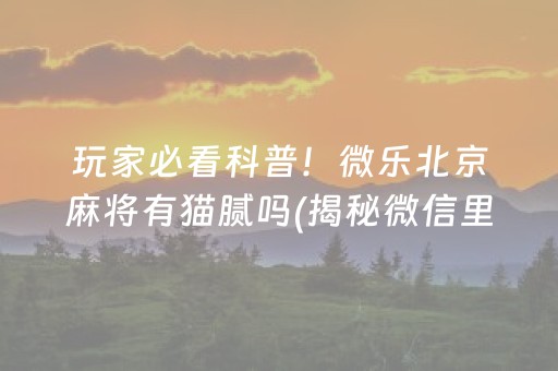 玩家必看科普！微乐北京麻将有猫腻吗(揭秘微信里输赢规律)