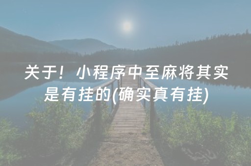 关于！小程序中至麻将其实是有挂的(确实真有挂)