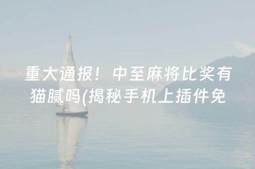 重大通报！中至麻将比奖有猫腻吗(揭秘手机上插件免费)