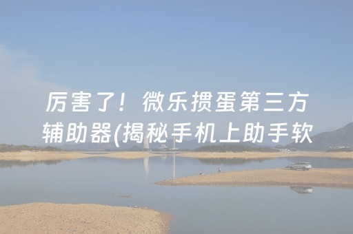 厉害了！微乐掼蛋第三方辅助器(揭秘手机上助手软件)