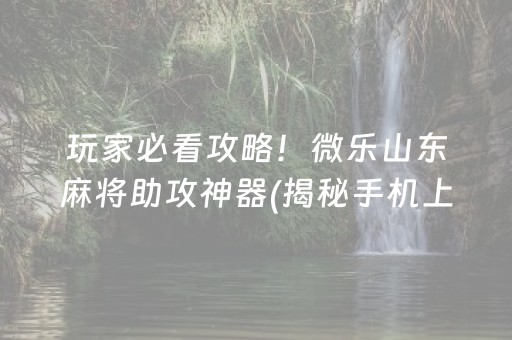 玩家必看攻略！微乐山东麻将助攻神器(揭秘手机上插件下载)