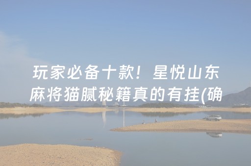 玩家必备十款！星悦山东麻将猫腻秘籍真的有挂(确实真的有挂)