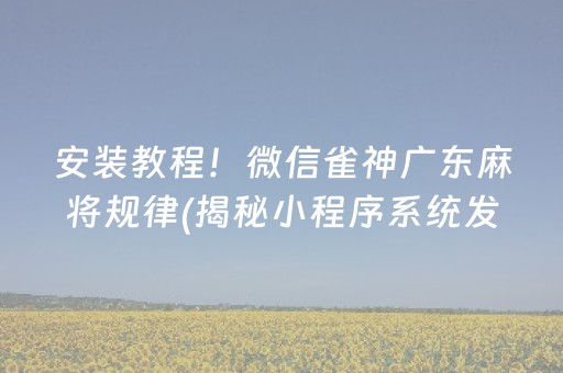 安装教程！微信雀神广东麻将规律(揭秘小程序系统发好牌)