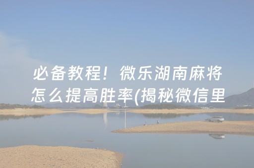 必备教程！微乐湖南麻将怎么提高胜率(揭秘微信里助赢神器购买)