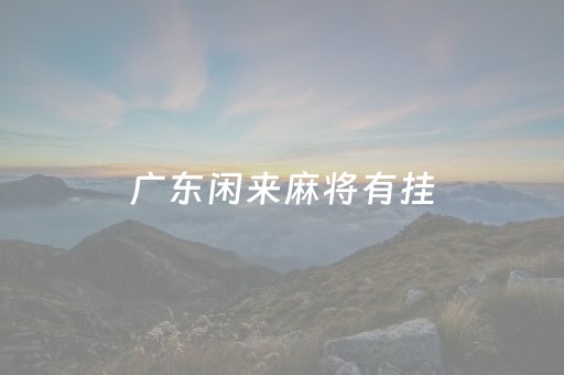 广东闲来麻将有挂（广东闲来麻将挂先试用后付款）