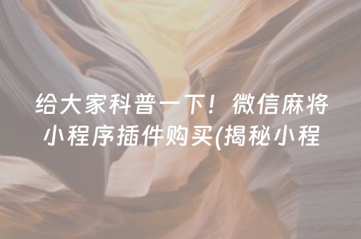给大家科普一下！微信麻将小程序插件购买(揭秘小程序助赢神器)