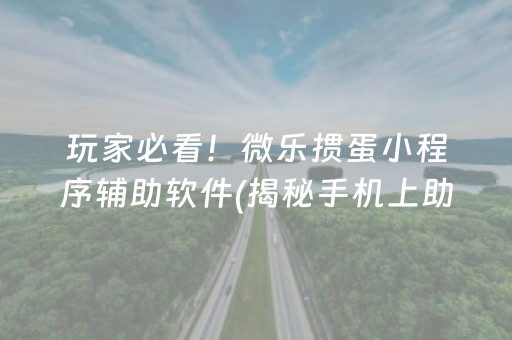玩家必看！微乐掼蛋小程序辅助软件(揭秘手机上助攻神器)