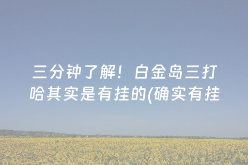 三分钟了解！白金岛三打哈其实是有挂的(确实有挂)