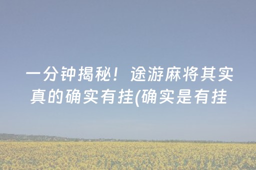一分钟揭秘！途游麻将其实真的确实有挂(确实是有挂的)