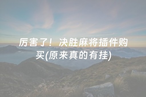 厉害了！决胜麻将插件购买(原来真的有挂)