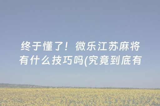 终于懂了！微乐江苏麻将有什么技巧吗(究竟到底有挂吗)
