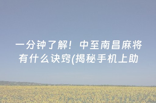 一分钟了解！中至南昌麻将有什么诀窍(揭秘手机上助攻神器)