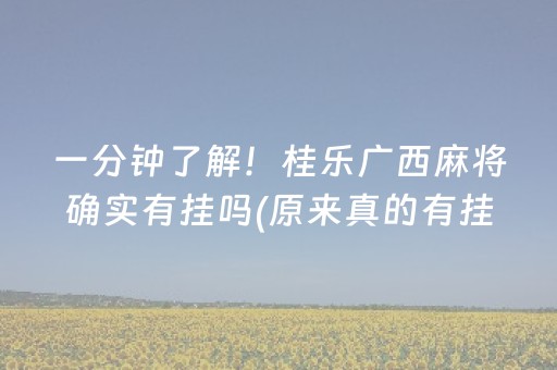 一分钟了解！桂乐广西麻将确实有挂吗(原来真的有挂)
