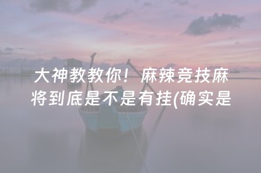 大神教教你！麻辣竞技麻将到底是不是有挂(确实是有挂)
