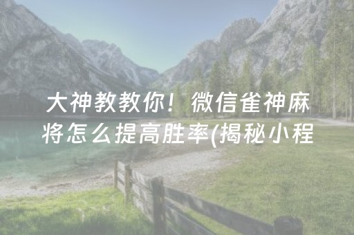 大神教教你！微信雀神麻将怎么提高胜率(揭秘小程序赢的秘诀)