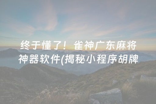 终于懂了！雀神广东麻将神器软件(揭秘小程序胡牌神器)