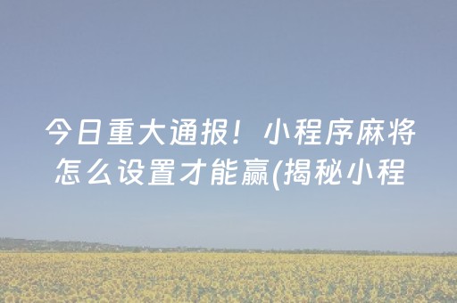 今日重大通报！小程序麻将怎么设置才能赢(揭秘小程序助手软件)