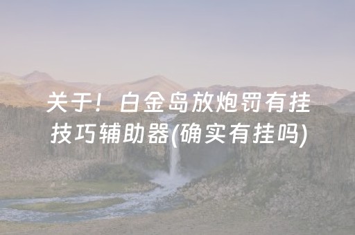 关于！白金岛放炮罚有挂技巧辅助器(确实有挂吗)