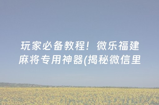 玩家必备教程！微乐福建麻将专用神器(揭秘微信里赢牌技巧)