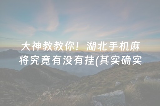 大神教教你！湖北手机麻将究竟有没有挂(其实确实有挂)