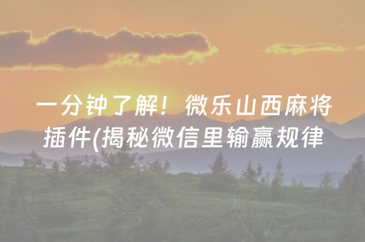 一分钟了解！微乐山西麻将插件(揭秘微信里输赢规律)