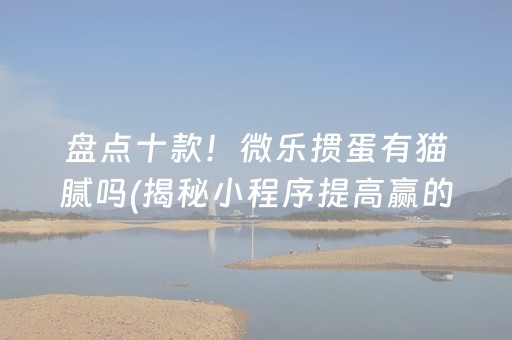 盘点十款！微乐掼蛋有猫腻吗(揭秘小程序提高赢的概率)