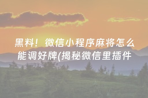 黑料！微信小程序麻将怎么能调好牌(揭秘微信里插件购买)