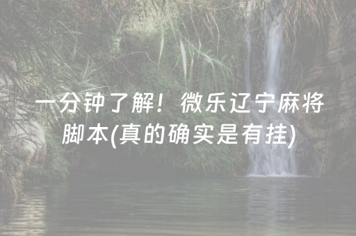一分钟了解！微乐辽宁麻将脚本(真的确实是有挂)