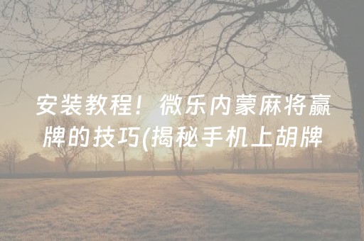 安装教程！微乐内蒙麻将赢牌的技巧(揭秘手机上胡牌技巧)