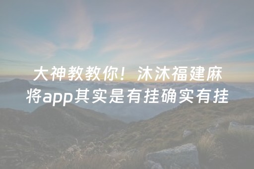 大神教教你！沐沐福建麻将app其实是有挂确实有挂(有挂技巧辅助器)