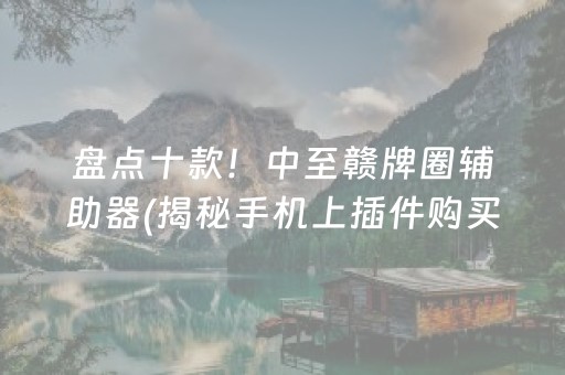 盘点十款！中至赣牌圈辅助器(揭秘手机上插件购买)