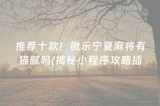 推荐十款！微乐宁夏麻将有猫腻吗(揭秘小程序攻略插件)