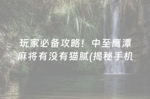 玩家必备攻略！中至鹰潭麻将有没有猫腻(揭秘手机上怎么容易赢)