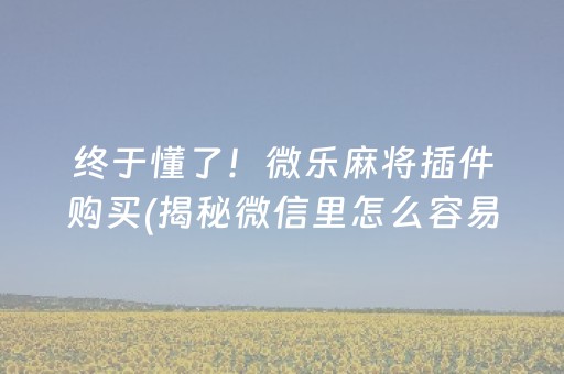 终于懂了！微乐麻将插件购买(揭秘微信里怎么容易赢)
