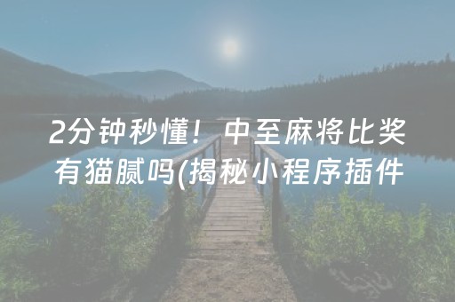 2分钟秒懂！中至麻将比奖有猫腻吗(揭秘小程序插件免费)