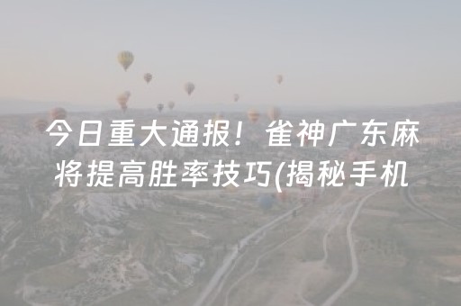 今日重大通报！雀神广东麻将提高胜率技巧(揭秘手机上提高胜率)
