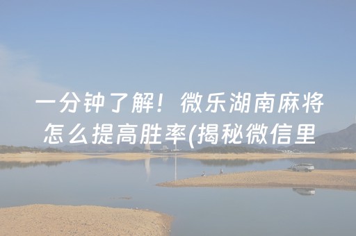 一分钟了解！微乐湖南麻将怎么提高胜率(揭秘微信里助攻神器)