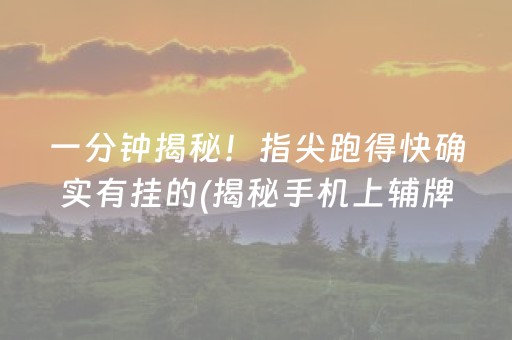 一分钟揭秘！指尖跑得快确实有挂的(揭秘手机上辅牌器)