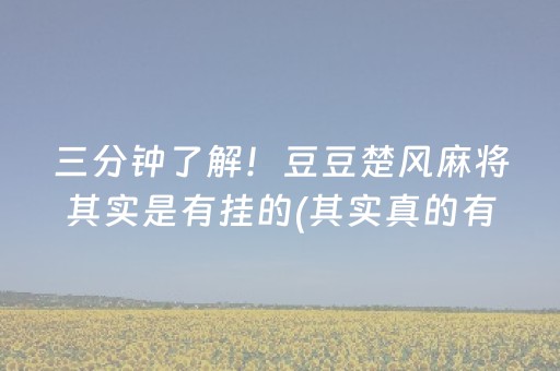 三分钟了解！豆豆楚风麻将其实是有挂的(其实真的有挂)