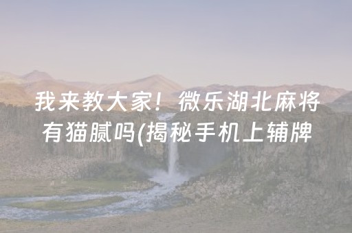 我来教大家！微乐湖北麻将有猫腻吗(揭秘手机上辅牌器)